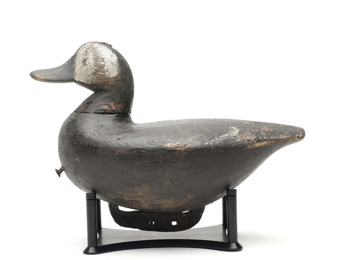 Reggie Birch – Ruddy Duck – 2026