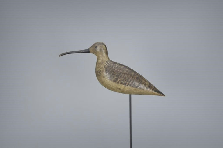Harry V. Shourds – Curlew – 2017