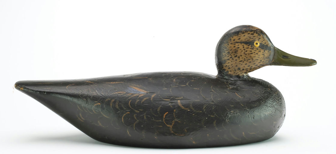 Elmer Crowell – Black Duck – 2024