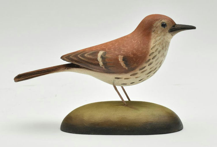 Frank Finney – Miniature brown thrasher – 2023