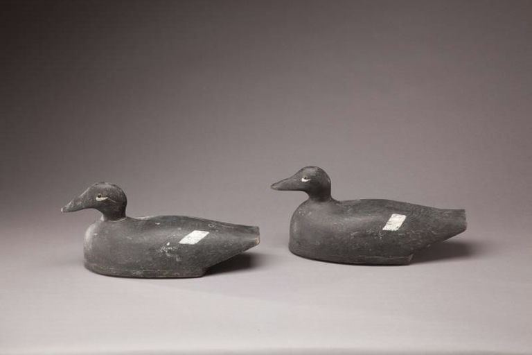 Joseph Lincoln – Two White-Winged Scoters – 2011