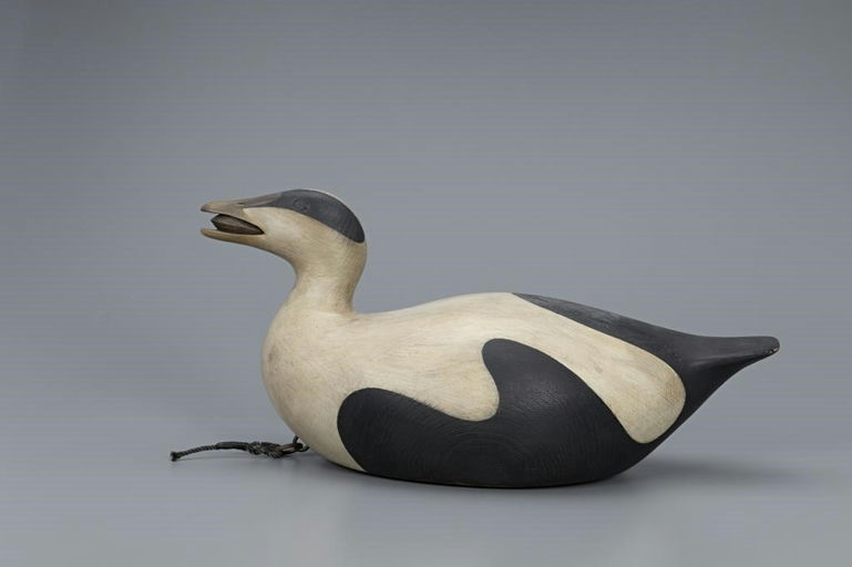 Mark McNair – Eider with Mussel – 2019