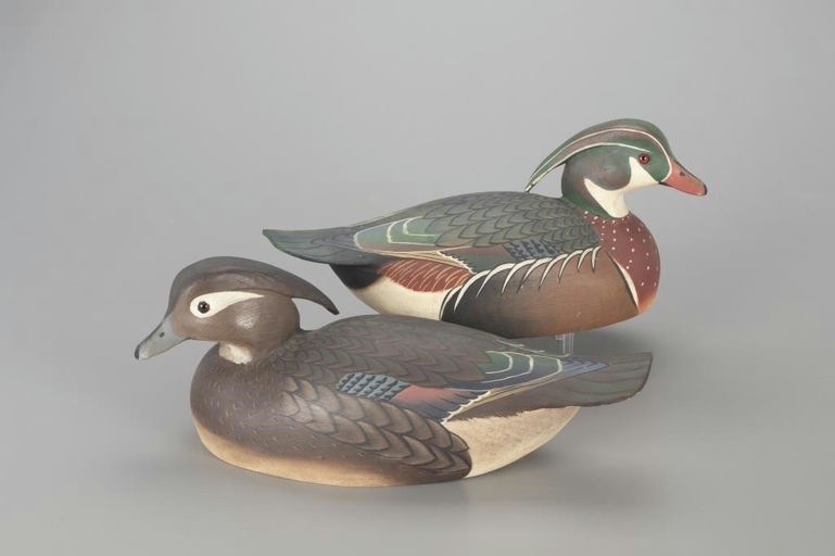 Bill Cranmer – Wood Duck Pair – 2022