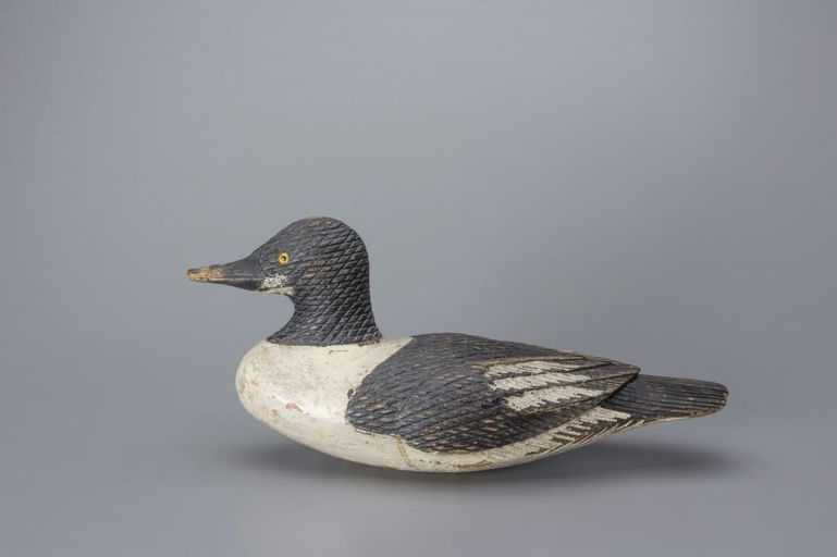 Samuel R. Hutchings – Goldeneye Drake – 2019
