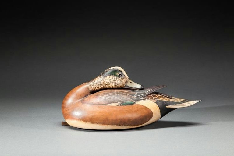 Bill Gibian – Preening Wigeon Drake – 2015