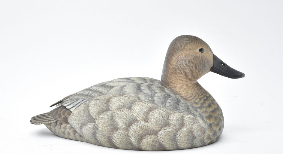 Ben A. Heinemann – Canvasback – 2025