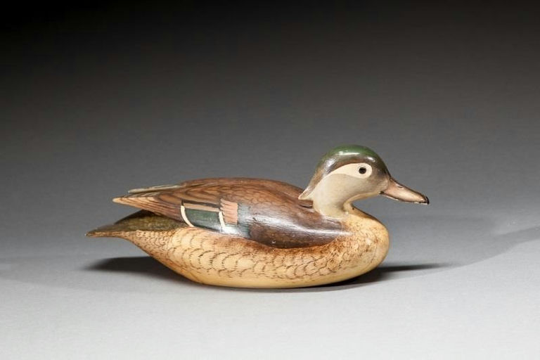 Shang Wheeler – Exceedingly Rare Wood Duck Hen – 2016