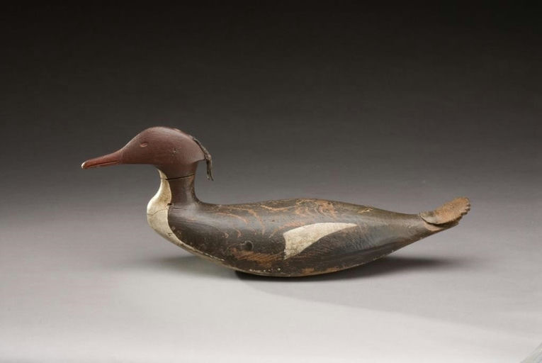 George R. Huey – Merganser Hen – 2009