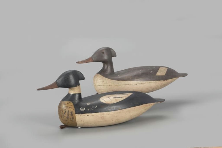 Levi Rhodes Truex – Rare Merganser Pair – 2022