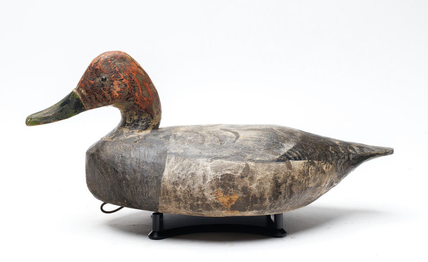 Miles Hancock – Canvasback – 2026