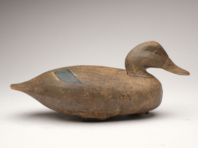 Ira Hudson – Mallard Hen – 2023