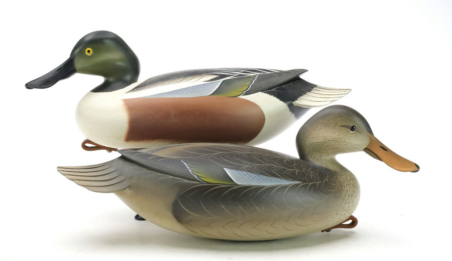 George Strunk – Pair of Shoveler – 2025