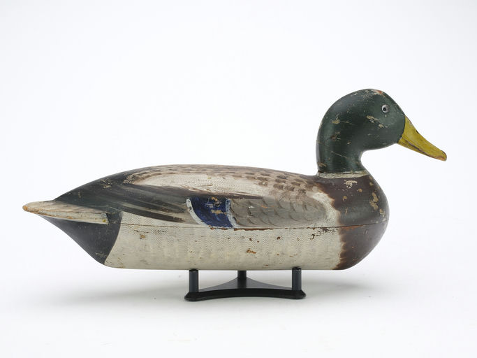 Robert Elliston – Mallard – 2024