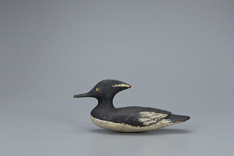 Samuel R. Hutchings – Hooded Merganser – 2019