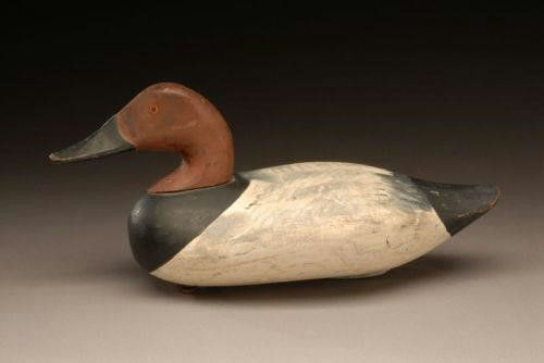 Paul Gibson – Canvasback Drake – 2007