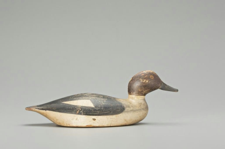 Allen P. Stuart – Goldeneye Hen – 2018