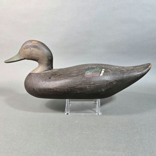 R. Madison Mitchell – Black duck – 2026