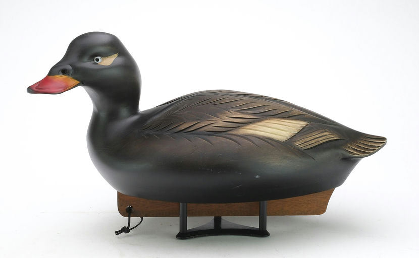 Sean Sutton – Scoter – 2024