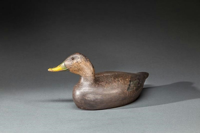 Charles Hart – Swimming Black Duck – 2015