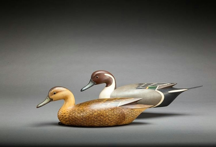Ian McNair – Pintail Pair – 2014