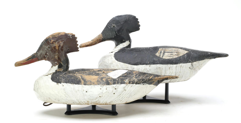 Miles Hancock – Merganser – 2025