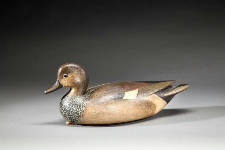 Mark McNair – Rare Gadwall Drake – 2016