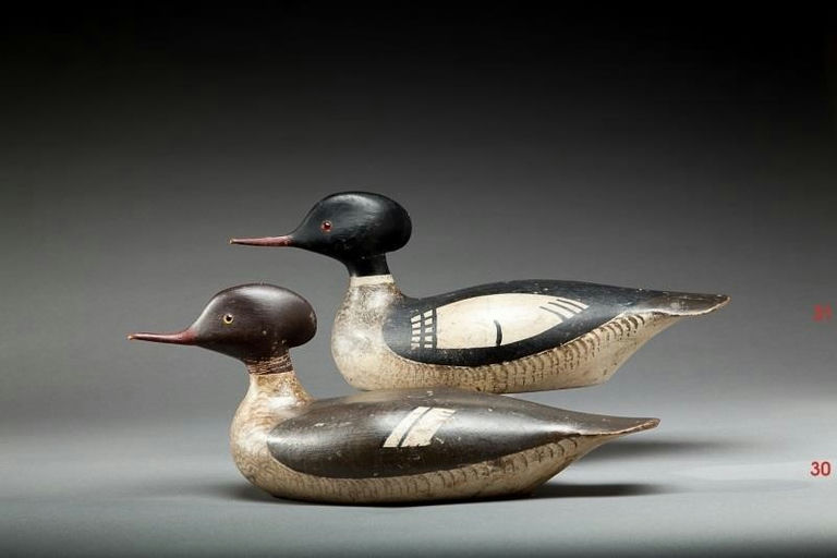 George Boyd – Red-Breasted Merganser Hen – 2014