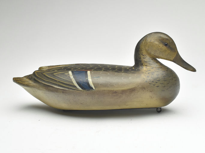 Charles Perdew – Mallard Hen – 2023