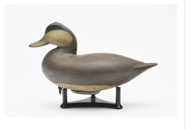 Mark McNair – Ruddy Duck – 2021