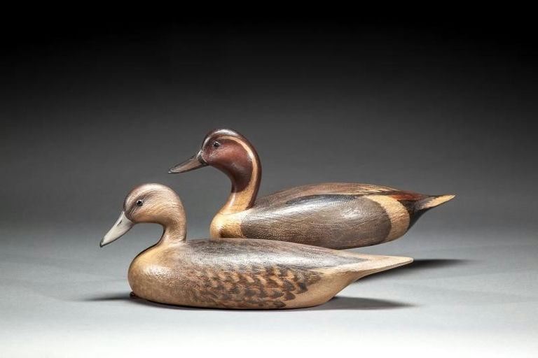 David Ward – Pintail Pair – 2016