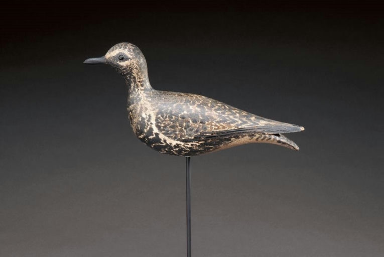 Elmer Crowell – Black-Bellied Plover – 2009