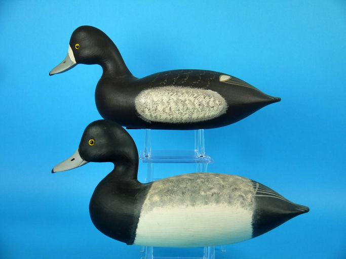 Charles R. Birdsall – Bluebill Pair – 2026