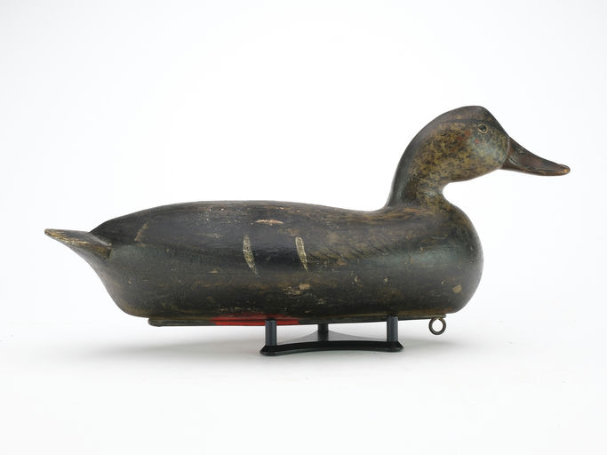 Bert Graves – Mallard – 2024