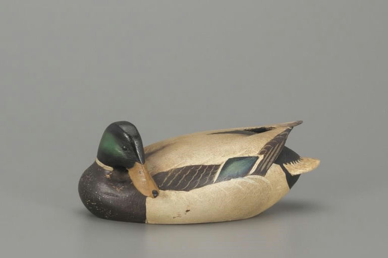 Ward Brothers – Half-Size Preening Mallard – 2018
