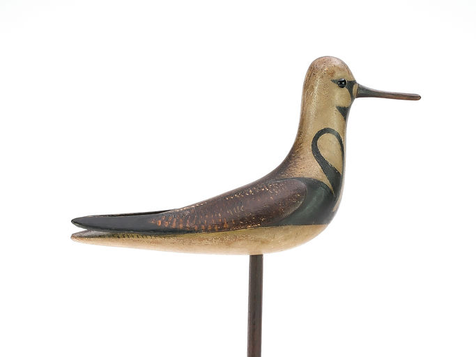 Mark McNair – Ruddy Turnstone – 2025