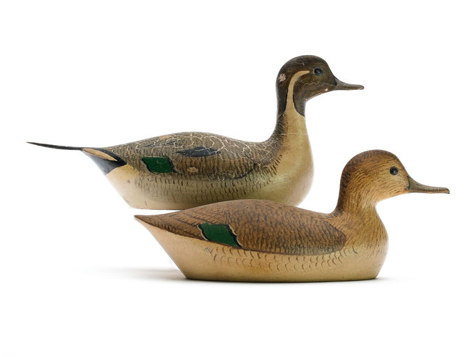 George Boyd – Pintail – 2025