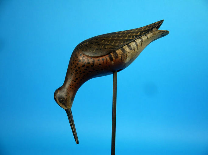 David Rhodes – Red Knot – 2026