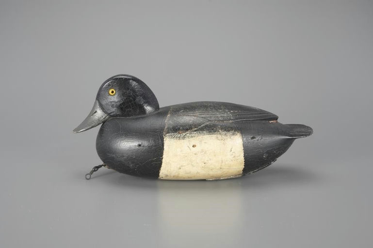 English Family – Low-Head Bluebill – 2024