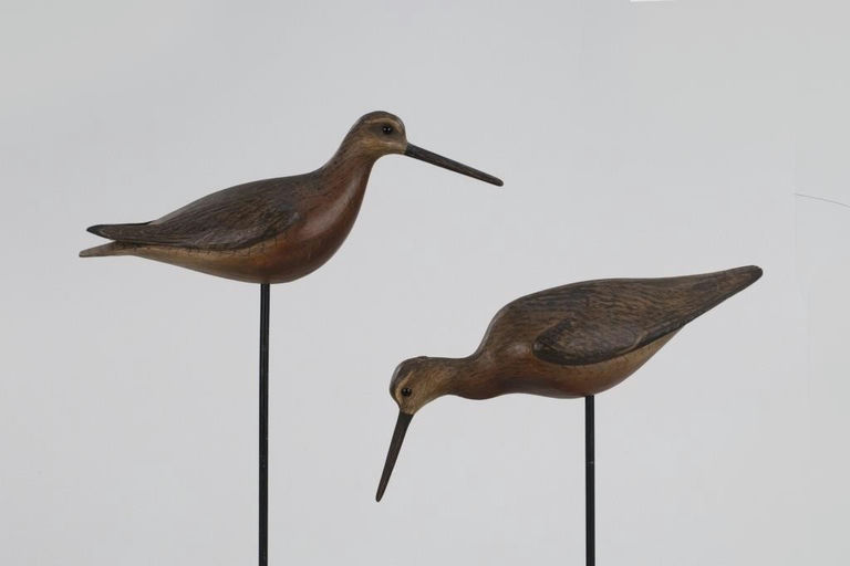 Bill Gibian – Dowitcher Pair – 2026