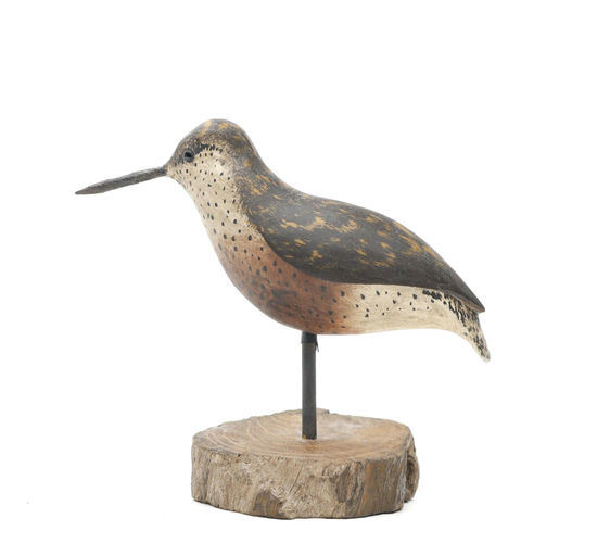 Bob White – Small Shorebird – 2026