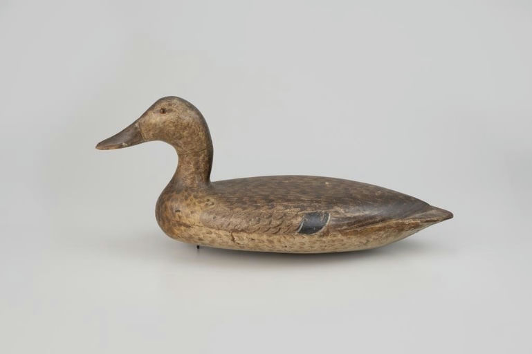 Bert Graves – Rare Oversize Mallard Hen – 2026