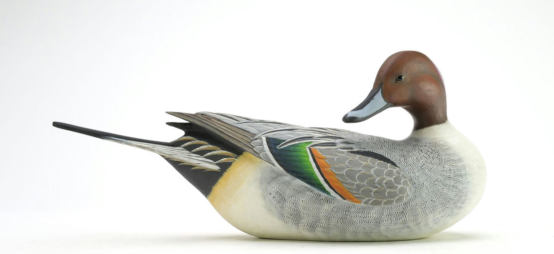 Ben A. Heinemann – Pintail – 2025
