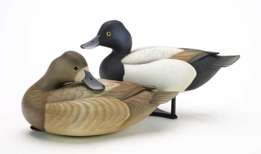 George Strunk – Pair of Bluebills – 2024