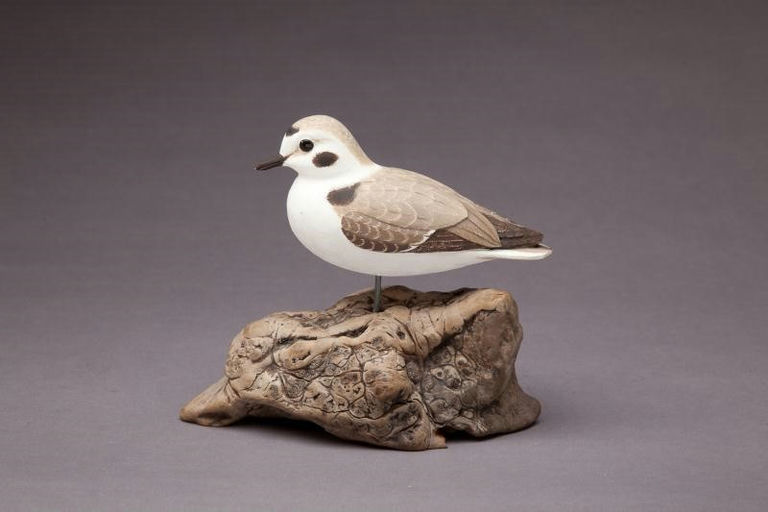 Harold Haertel – Snowy Plover – 2012
