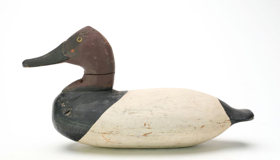 William Heverin – Canvasback – 2025