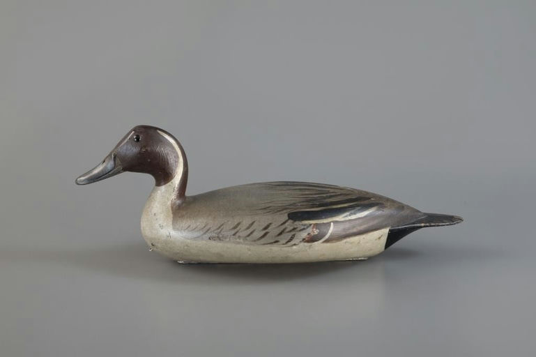 Robert Elliston – Pintail Drake – 2025