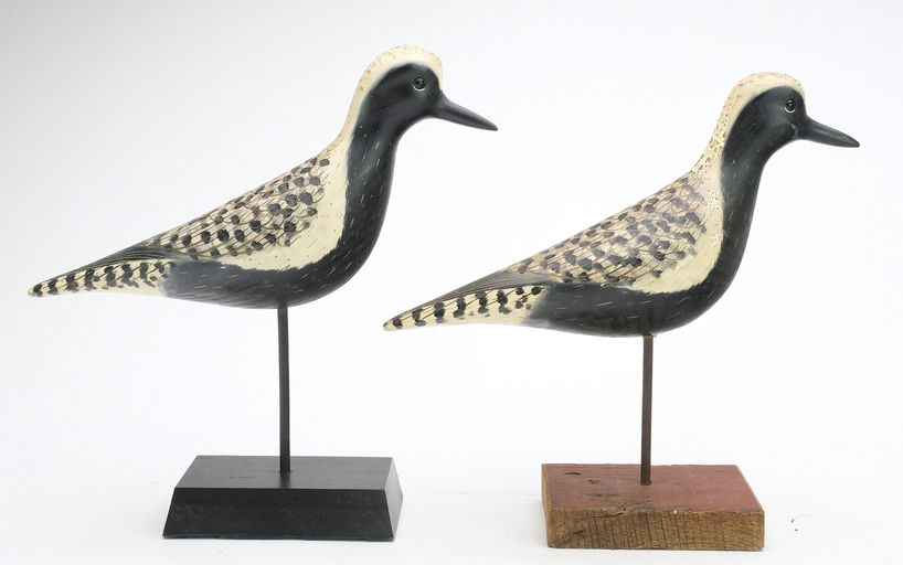 Pete Peterson – Pair of Plover – 2024
