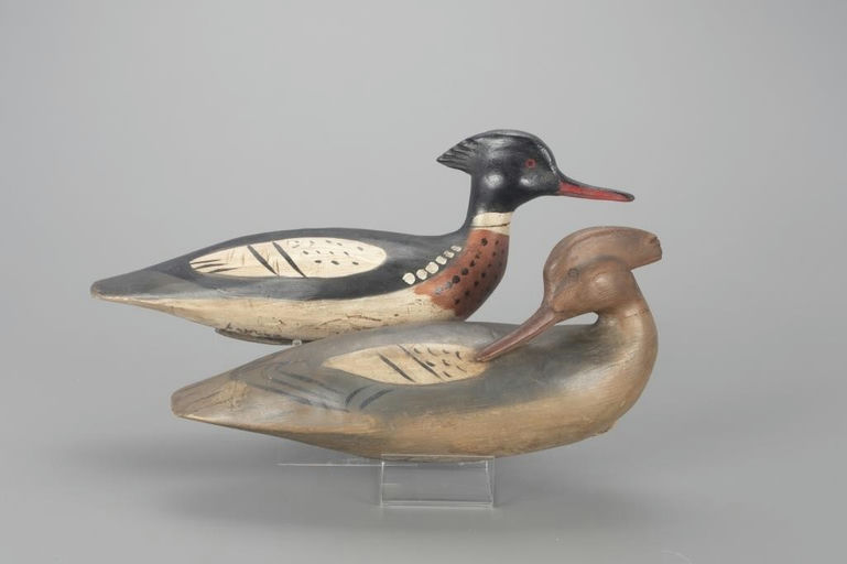 Davison B. Hawthorne – Red-Breasted Merganser Pair – 2022