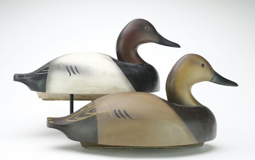 Wildfowler Decoy Company – Pair of Canvasback – 2024