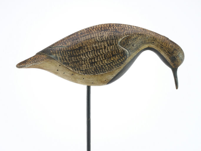 Cameron McIntyre – Black Bellied Plover – 2024
